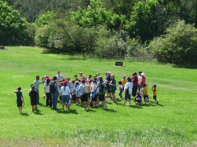 Wild bush tucker walk